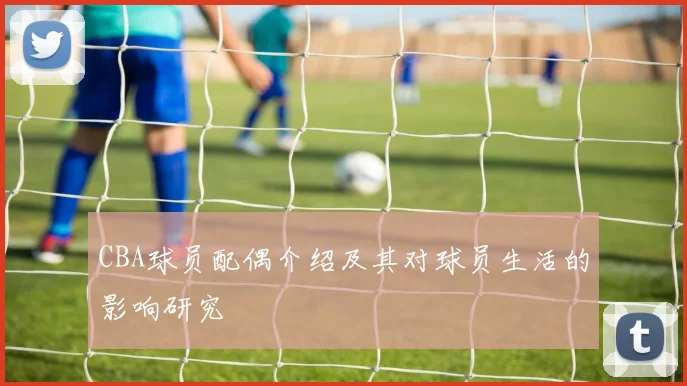 CBA球员配偶介绍及其对球员生活的影响研究