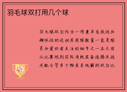 羽毛球双打用几个球